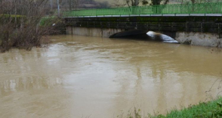 Pont de Lézat, le 20 janvier à 12h45.  Le niveau d'eau observé est de 5,39 m  soit un débit d'environ 60 m3/s