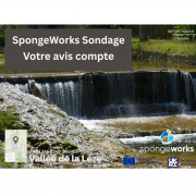 sondage-spw