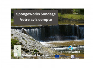 sondage-spw