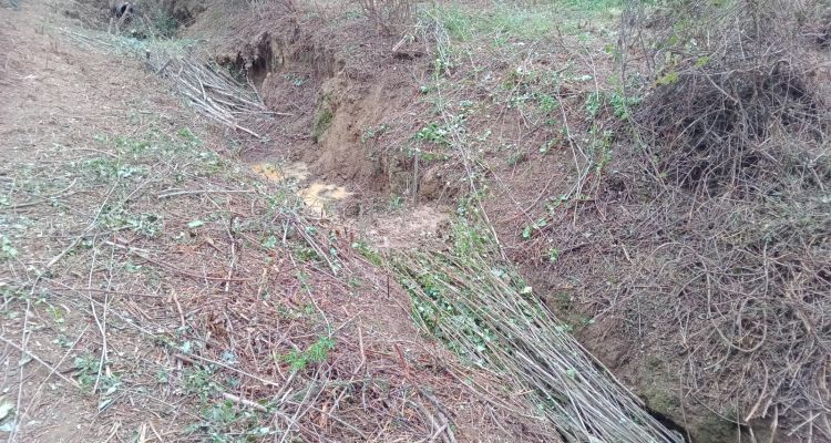 img-20250912-164836-846-of6-of7