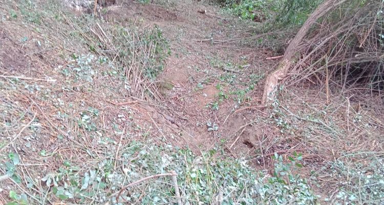 img-20250912-165617-857-of2-of3-of4