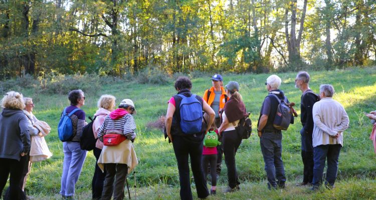 massabrac-animation-echo-rando-smival-natacha-oti