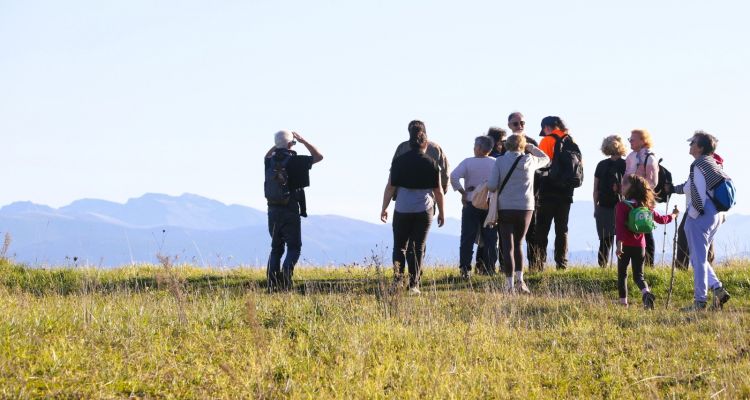 massabrac-animation-echo-rando-smival-paysage-oti